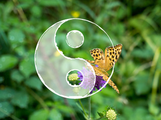 Yin Yang Symbol mit Bild aus der Natur als Hintergrund