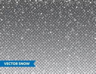 Deurstickers Realistic falling snow with snowflakes. Winter transparent background for Christmas or New Year card. Frost storm effect, snowfall, ice. Vector illustration. © 32 pixels