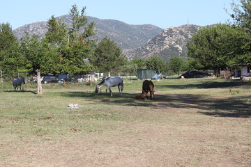 Village in the mountain