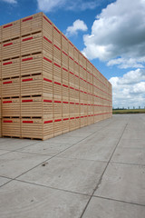Crates for potatoes or corn. Agriculture Netherlands. Farming