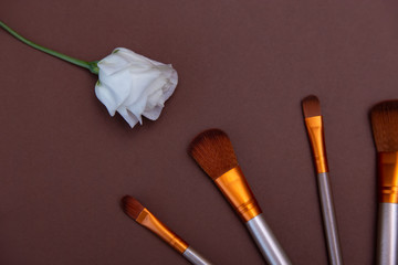 cosmetic makeup brushes with white roses on a brown background Copy space Cosmetic beauty concept