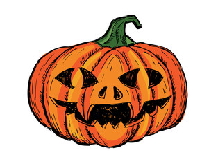 Halloween pumpkin. Hand drawn illustration.