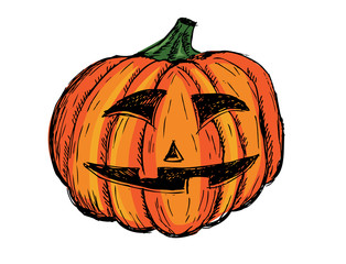 Halloween pumpkin. Hand drawn illustration.