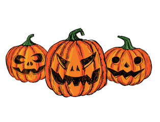 Halloween pumpkins set. Hand drawn illustration.