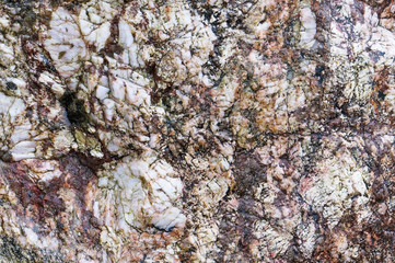 Sea stone texture. Panel texture. Spots gray red background. Background fill. Natural stone background.