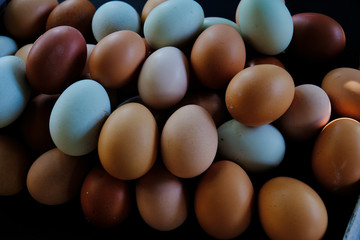 Group of colorful cage free chicken eggs fresh from farm.