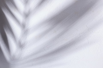 Abstract background of shadows branch leaves on wall. Shadows overlay effect. Mockup