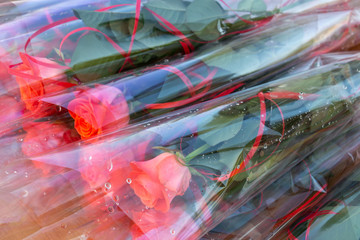 Single rose packaging bags