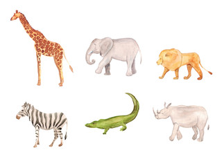 Fototapeta premium Watercolor hand drawn sketch illustrations of African animals - giraffe, elephant, lion, zebra, crocodile, rhino isolated on white