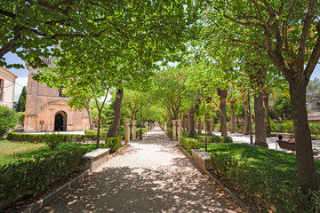 Tree-lined avenue in the Ibleo garden in Ragusa Ibla in Sicily, Italy.