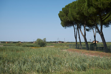 Ravenna, Italy - August 06, 2019 : View of Delta del Po natural reserve
