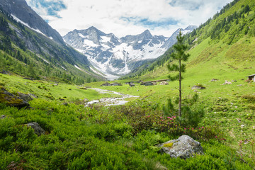 Fototapeta na wymiar grüne Naturlandschaft in den österreichischen Alpen mit Gletscher
