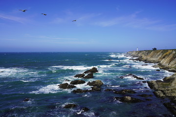 Beautiful coastline scenery and lighthouse on Pacific Coast, California