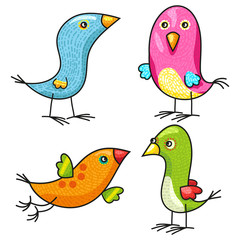 Birds characters. Four colorful birdies drawn in cartoon style. 