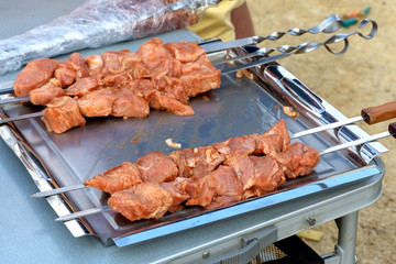 Appetizing marinated pork skewers prepared for roasting. Cooking barbecue in spicy sauce