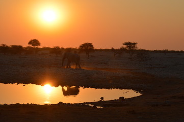 Namibia 2019 - Etosha N.P. tramonto