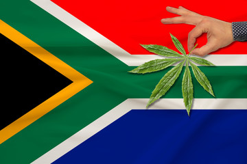 green leaf of cannabis in a man’s hand against the background of a colored state flag, the...