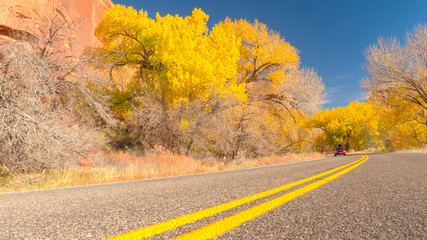 Naklejka premium Red car traveling along the empty road past stunning yellow autumn trees
