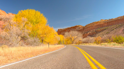 Fototapeta premium Empty road leading past yellow autumn trees in red rocky Utah desert canyon