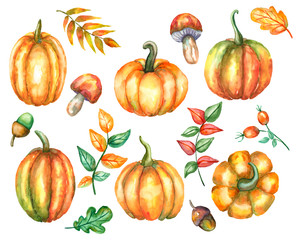 Watercolor autumn set of pumpkins, leaves, mushrooms, acorns, rose hips. Illustration isolated on white background