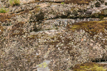 Stone surface covered with moss.