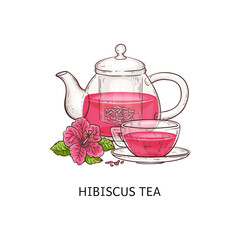 Hibiscus tea - pink drink in glass cup and teapot isolated on white background