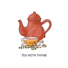 Tea with thyme - healthy herbal drink in glass teacup and red teapot.