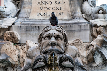 View of Rome, Italy. Detail of Pantheon Fountain with pigeon.
