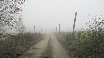 Feldweg im Nebel im Waldviertel 
