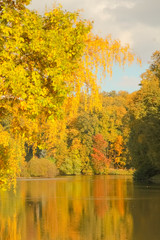 beautiful autumn trees with yellow branches and leaves near water with reflection with nobody
