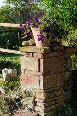 Fototapeta na wymiar flower pot and brick column
