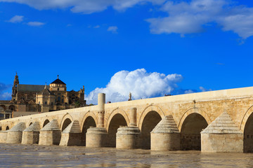 Fototapeta na wymiar Roman Bridge and Guadalquivir river,Cordoba (Spain)