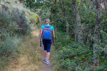 woman tourist with backpack hiking along a forest path