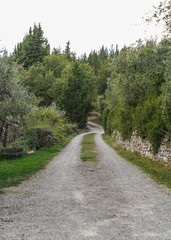 Fototapeta na wymiar path in the park / natural reserve 