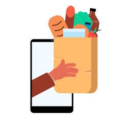 Online grocery shopping app concept - store purchase home delivery business icon isolated on white background