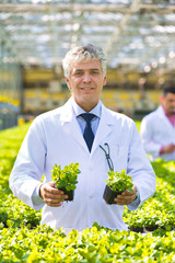 Smiling mature male botanist in plant nursery