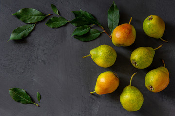 Fresh pears with leaves lie on a gray table