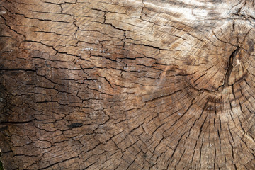 Fototapeta premium Brązowawa Pęknięta Tekstura Drewna