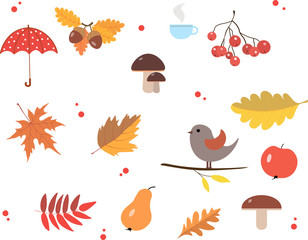 Autumn set. Autumn leaves, bird, mushrooms, umbrella, berries, fruits, cup. Design. Decor. 