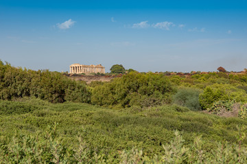 Temple of Selinunte in Sicily