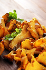 Raw wild chanterelle mushrooms. Composition with wild mushrooms