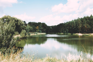 Beautiful lake near pine forest