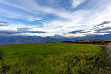 Obraz na płótnie Canvas Andean landscape extensive hillside crops