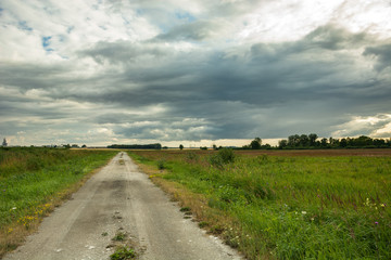 A gravel road through a green meadow and a cloudy sky