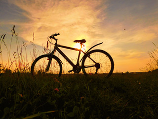 Naklejka na ściany i meble bicycle on sunset