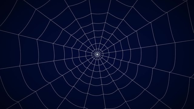 concentric white web on a blue background