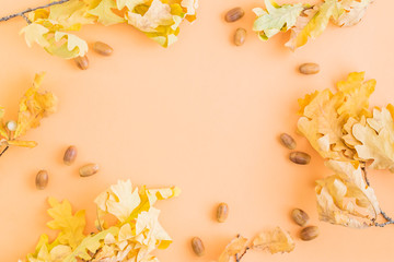 Flat lay frame with colorful autumn leaves and acorns on a color background