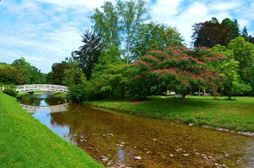 Fototapeta na wymiar river in the park in Baden-baden