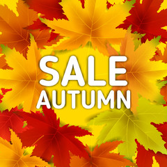 Fototapeta na wymiar Sale Autumn Background Template, with falling bunch of leaves, shopping sale or seasonal poster