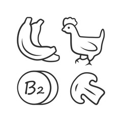 Vitamin B2 linear icon. Bananas, poultry and mushroom. Healthy eating. Riboflavin natural food source. Thin line illustration. Contour symbol. Vector isolated outline drawing. Editable stroke